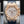 Audemars Piguet Royal Oak Chrono 26320OR 41mm 2015 Box & Papers – Serviced 2026