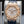 Audemars Piguet Royal Oak Chrono 26320OR 41mm 2015 Box & Papers – Serviced 2026