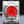 Rolex Oyster Perpetual 124300 Coral Red Dial Discontinued 41mm Box & Papers