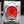 Rolex Oyster Perpetual 124300 Coral Red Dial Discontinued 41mm Box & Papers