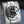 Angled view with reflection of Rolex GMT-Master II 40mm 2019