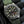 Tudor Pelagos FXD GMT M2542G247NU “Aeronautique Navale” 42mm 2024 Box & Papers
