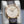 Slight angled view of Parmigiani Fleurier Tonda 1950 Rose Gold White Dial