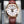 Patek Philippe Complications Annual Calendar 5396R 38.5mm 2011 Box & Papers