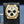Angled view with reflection of Parmigiani Fleurier Tondagraph GT Chronograph PFC903-1500/40