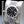 Close-up opposing view of Rolex Datejust 126334 Black Dial