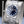 Angled opposing view with reflection of Vacheron Constantin Overseas 4500V Blue Dial