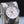 Close-up angled view of IWC Portugieser Yacht Club Chronograph IW390211 