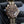 Front view of Omega Seamaster Diver 300M No Time To Die 007 Edition in gloved hand