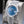 Angled opposing view with reflection of Rolex Datejust 126334 Blue Azurro Dial
