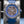 Central view ofRichard Mille World Timer RM63-02 