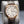 Slight angled view of Vacheron Constantin Historiques American 1921 Silver Dial 