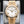 Rolex Day-Date 228238 White Dial 40mm 2025 Box & Papers