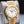 Rolex Day-Date 228238 White Dial 40mm 2025 Box & Papers