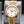 Rolex Day-Date 228238 White Dial 40mm 2025 Box & Papers