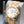 Rolex Day-Date 228238 White Dial 40mm 2025 Box & Papers