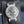 Harry Winston Opus 2 Platinum Tourbillon 38mm 2011 Box & Papers