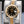 Rolex Datejust Two-Tone 126333 Black Diamond Dial 41mm Box & Papers