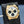Parmigiani Fleurier Tondagraph GT Chronograph PFC903-1500/40 2023 Box & Papers