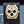 Parmigiani Fleurier Tondagraph GT Chronograph PFC903-1500/40 2023 Box & Papers