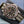 Front view of Omega Seamaster Diver 300M No Time To Die 007 Edition 42mm 2021