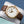 Front view of Patek Philippe Calatrava 5227J Ivory Dial