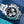 Rolex Daytona “Baby LeMans” 126509 White Gold Black Dial 40mm Box & Papers
