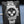 Rolex Daytona “Baby LeMans” 126509 White Gold Black Dial 40mm Box & Papers