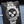 Rolex Daytona “Baby LeMans” 126509 White Gold Black Dial 40mm Box & Papers