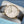 Front view of Parmigiani Fleurier Tonda 1950 Rose Gold White Dial